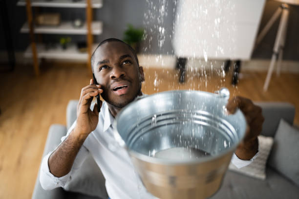 Best Emergency Water Extraction Services in Red Oak, NC